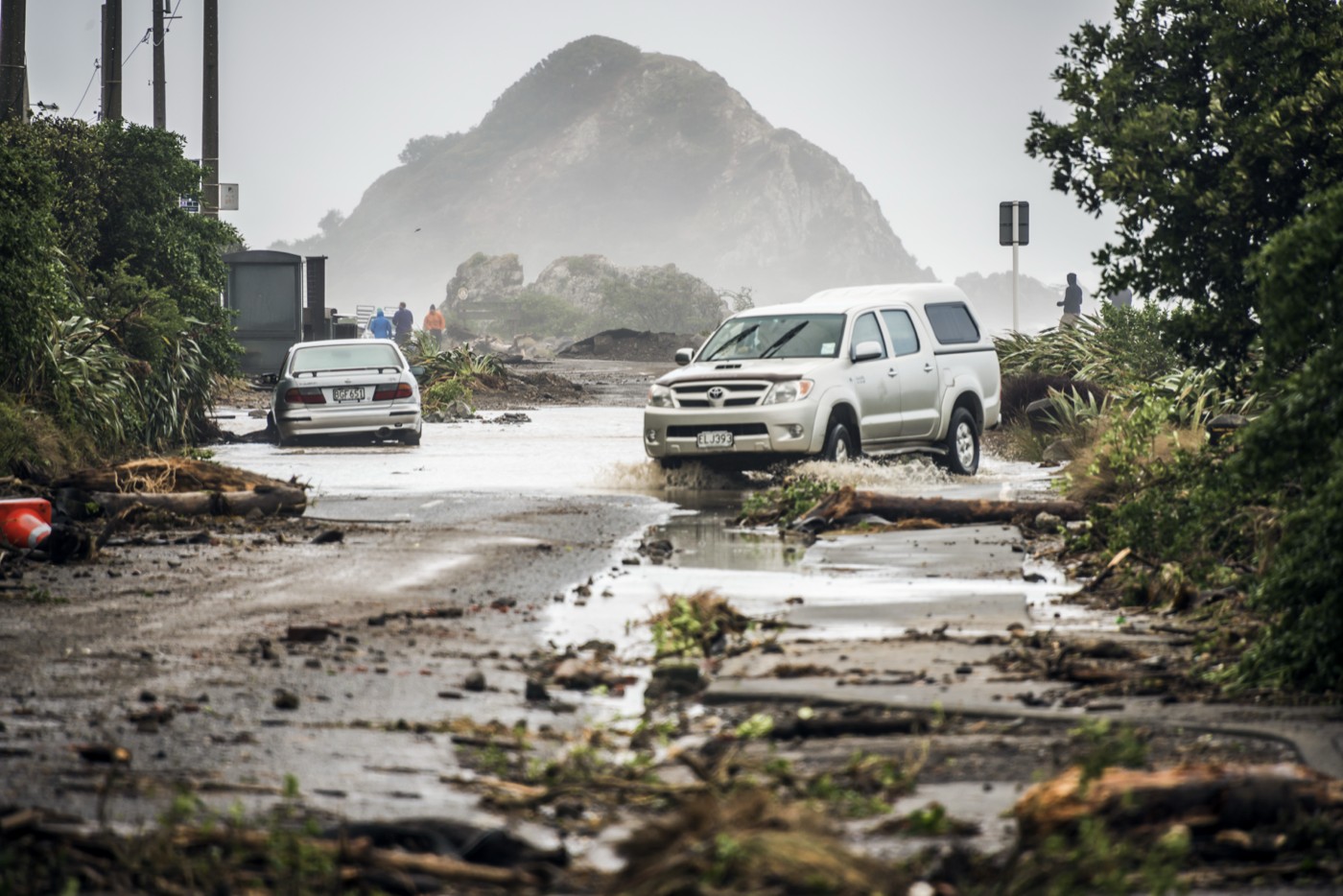 Wellington Emergency and 10-Metre Swell Warning Put Coastal Risk in Focus